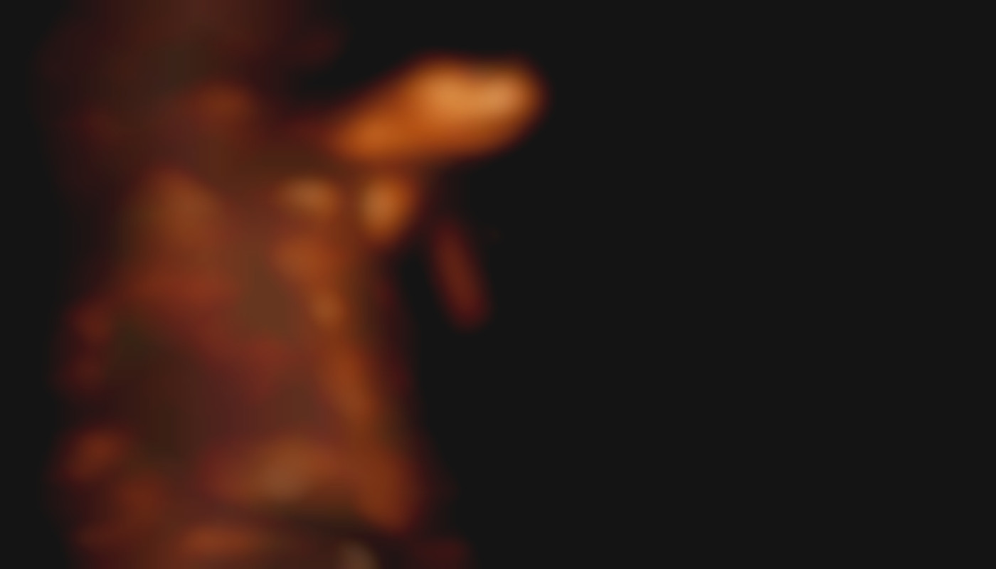 Exploring The Allure Of Live Interactions With Charismatic Models