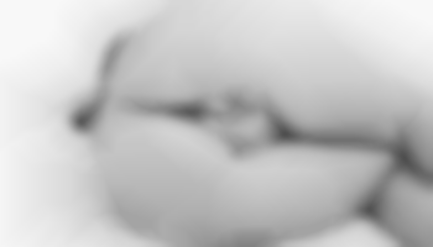 Exploring The Evolution Of Digital Companions In Anime Style